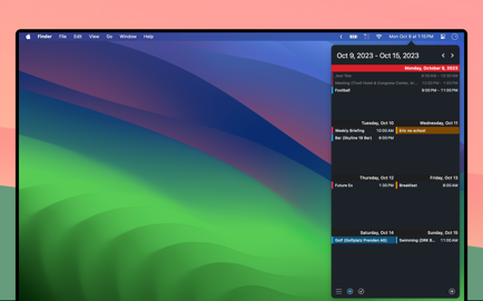 Calendar 366 II Screenshot 3