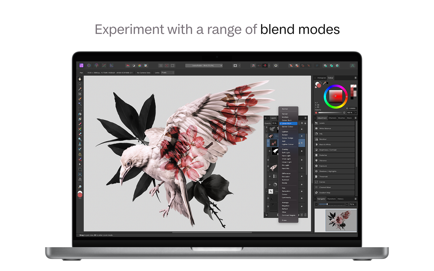 Affinity Photo 2: Image Editor Screenshot 2