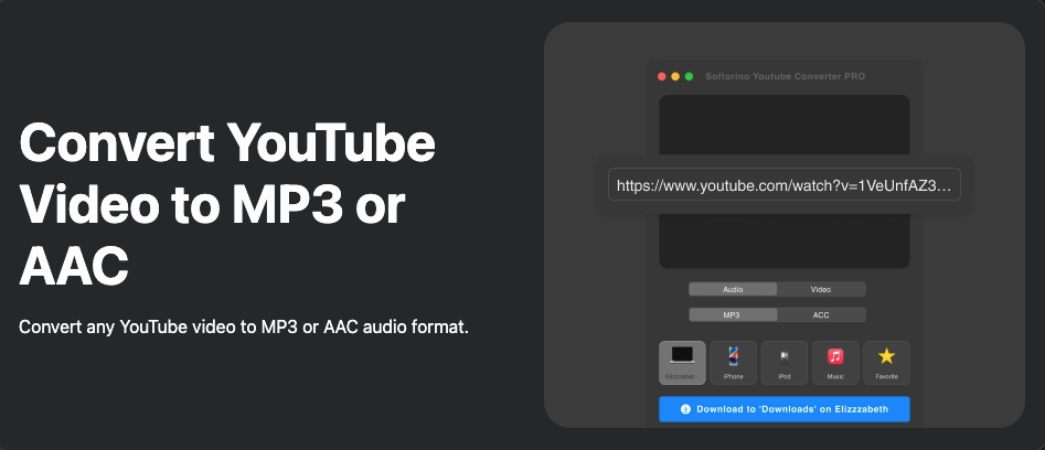 Softorino YouTube Converter Pro Screenshot 3