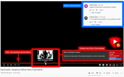 SponsorBlock for Safari Screenshot 2