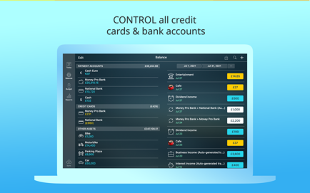 Money Pro Screenshot 2