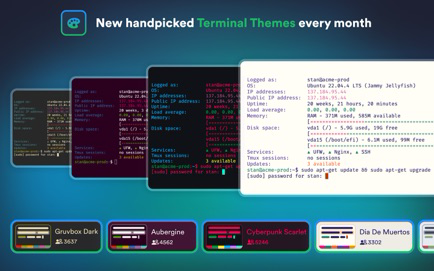 Termius — Modern SSH Client Screenshot 2
