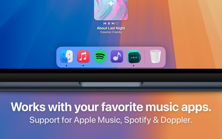 Sleeve for Spotify, Music Screenshot 2