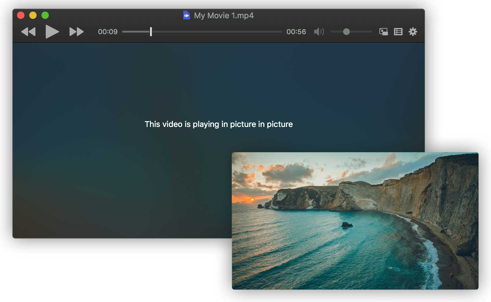 IINA – Modern Video Player for macOS Screenshot 3