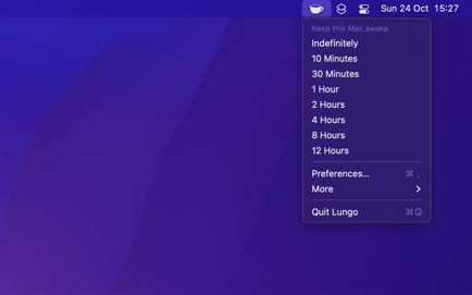 Lungo Screenshot 1