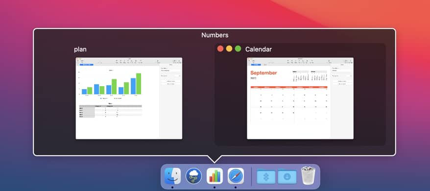 DockView Screenshot 1
