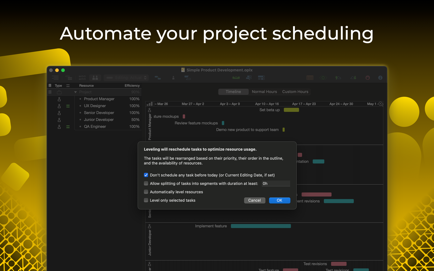 OmniPlan 4 Screenshot 2