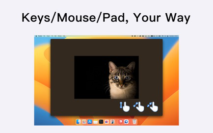 Picview – Image Viewer Screenshot 3