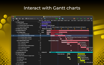OmniPlan 4 Screenshot 3