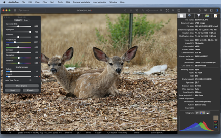 ApolloOne – Photo Video Viewer Screenshot 1