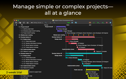 OmniPlan 4 Screenshot 1