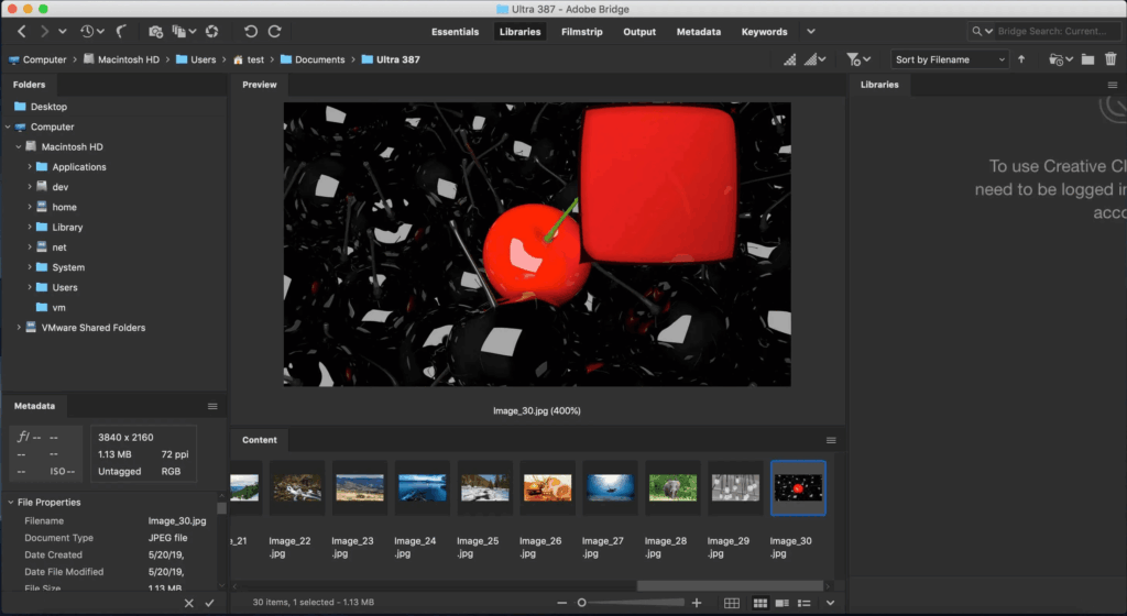 Adobe Bridge 2026 Screenshot 1