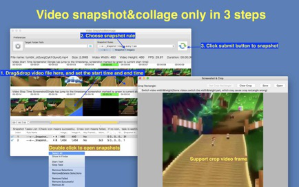 Video Snapshot&Collage Screenshot 2