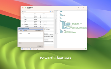 JSON Wizard Screenshot 2