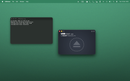 USBclean Screenshot 2