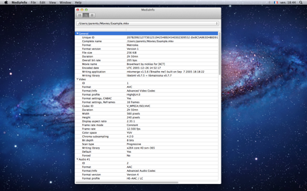 MediaInfo Screenshot 2