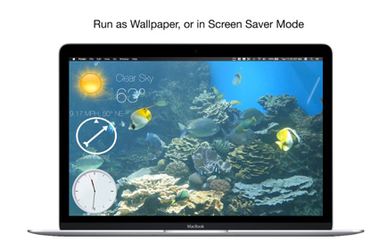 Aquarium 4K – Live Wallpaper Screenshot 3