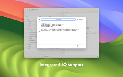 JSON Wizard Screenshot 3