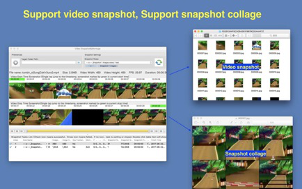 Video Snapshot&Collage Screenshot 1