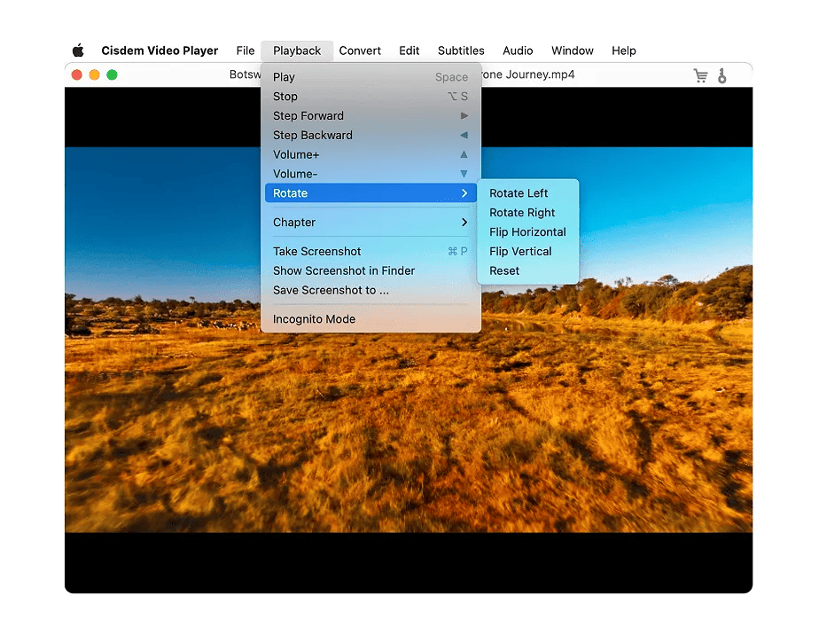 Cisdem Video Player Screenshot 1