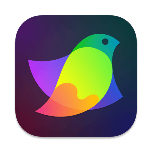 Amadine – Vector Design & Art