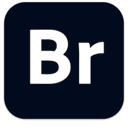 Adobe Bridge 2026