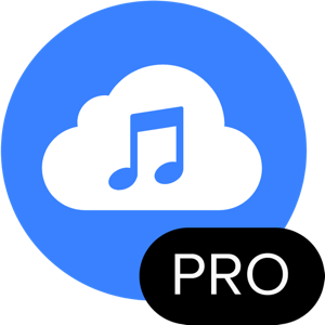 4K YouTube to MP3 Pro