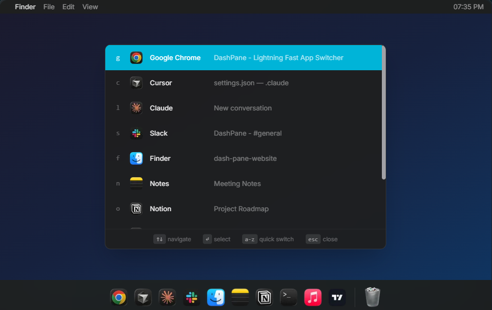 DashPane Screenshot 1