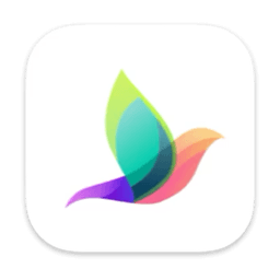 Bluetail – Cut Designer