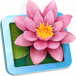 LilyView
