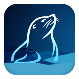 ReleaseSeal